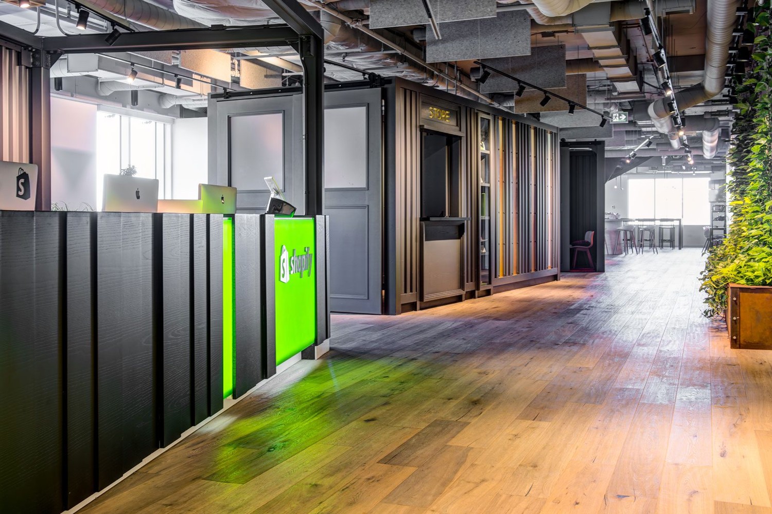 Collaborative workspace with greenery and natural light